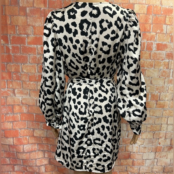 H&M Animal Print Balloon Sleeved Satin‎ Dress - Picture 7 of 16